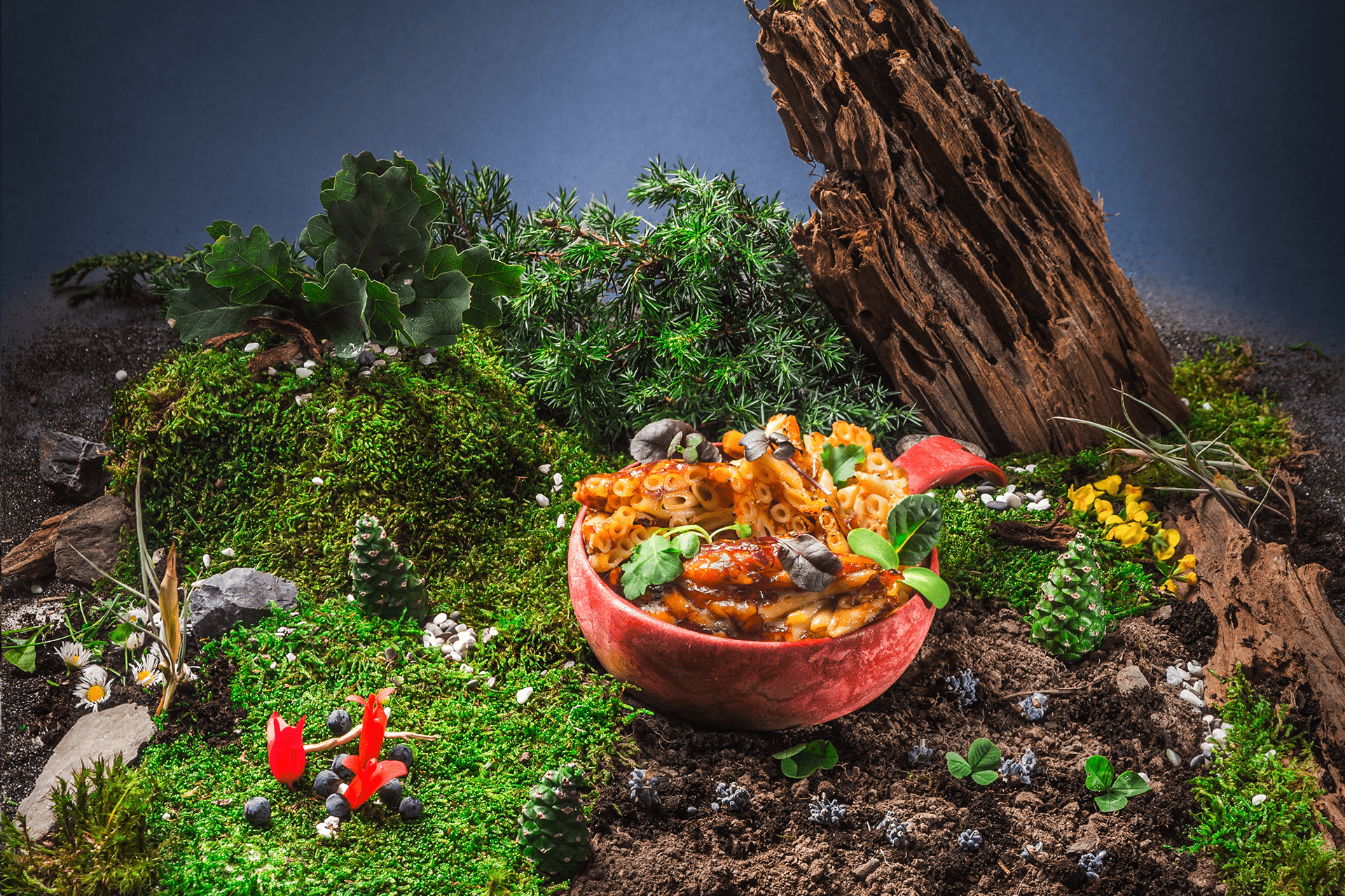 KIDS Mac a Cheese OD-A-AM0051 asgbox.pl KIDS Mac a Cheese - obrazek 2