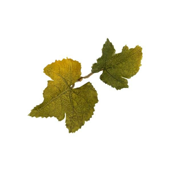 Novritsch LEAF CAMO 3D Leaves LC1, 50 pcs - Lime OD-A-NOVRITSCH78-LIM asgbox.pl Novritsch LEAF CAMO 3D Leaves LC1, 50 pcs - Lime