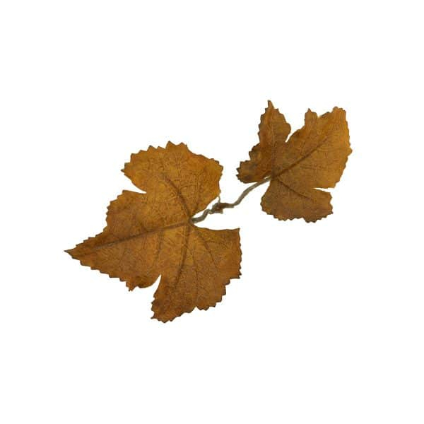 Novritsch LEAF CAMO 3D Leaves LC1, 50 pcs - Sienna OD-A-NOVRITSCH78-SIE asgbox.pl Novritsch LEAF CAMO 3D Leaves LC1, 50 pcs - Sienna