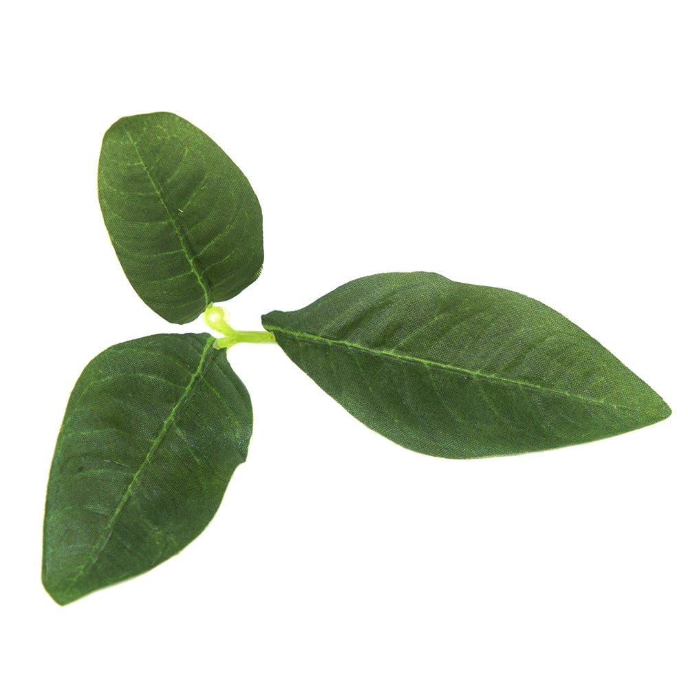 Novritsch LEAF CAMO 3D Leaves LC3, 50 pcs - Pine OD-A-NOVRITSCH119-PINE asgbox.pl Novritsch LEAF CAMO 3D Leaves LC3, 50 pcs - Pine