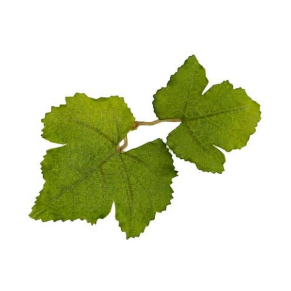 Novritsch LEAF CAMO 3D Leaves LC1, 40 Pcs – Fern