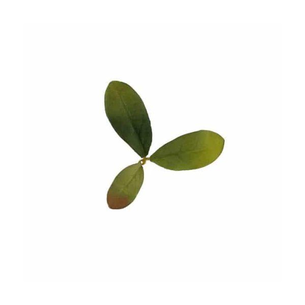 Novritsch LEAF CAMO 3D Leaves LC2, 40 Pcs – Emerald