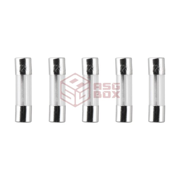 Nimrod Glass Type Fuse 5x20mm 25A 5pcs