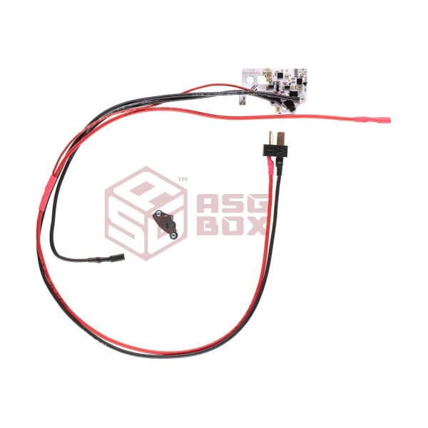 Perun Perun V2 Hybrid Back Wiring