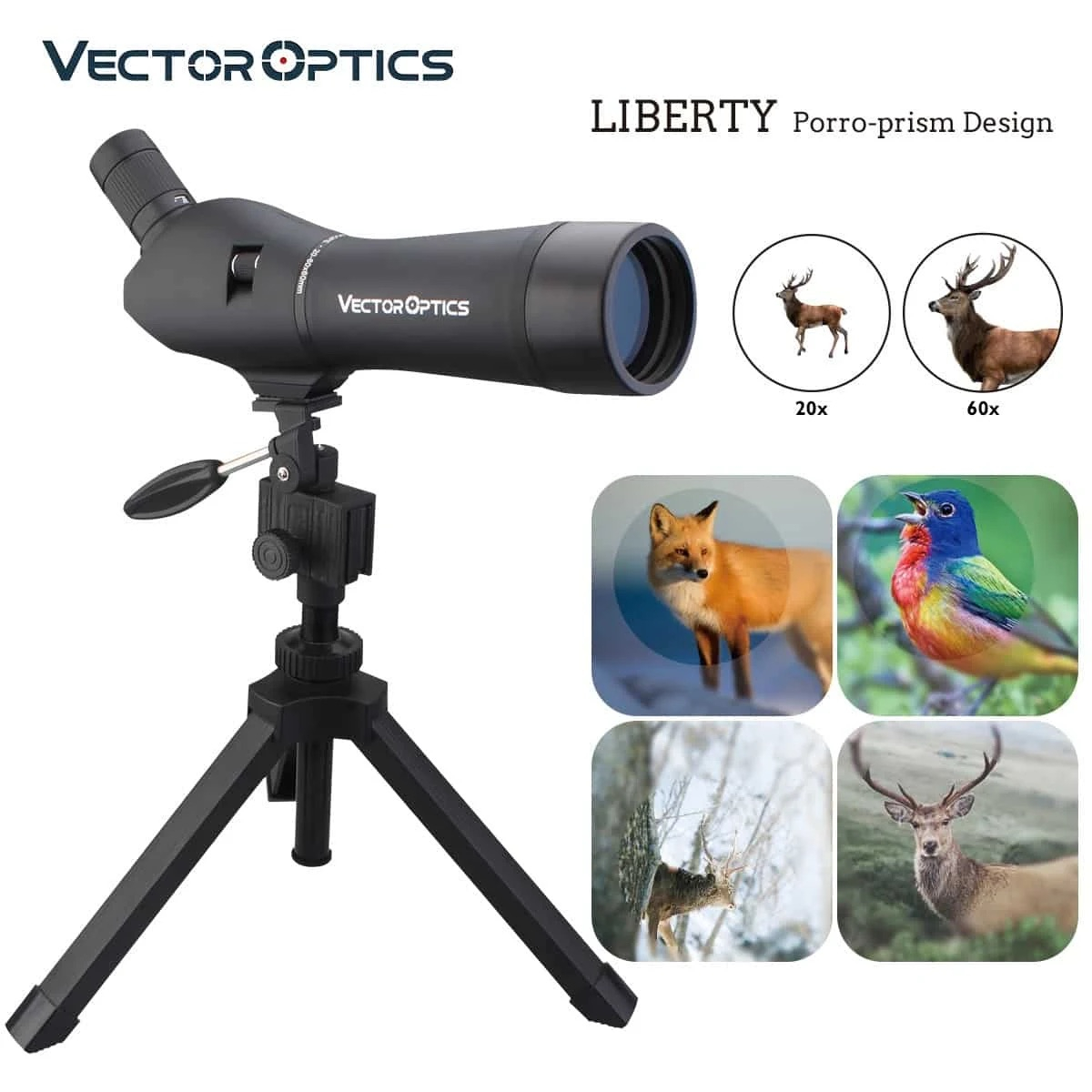 Monocular spotting scope FORESTER 20-60x60 plus tripod OD-A-SCSS-01 asgbox.pl Monocular spotting scope FORESTER 20-60x60 plus tripod - obrazek 9