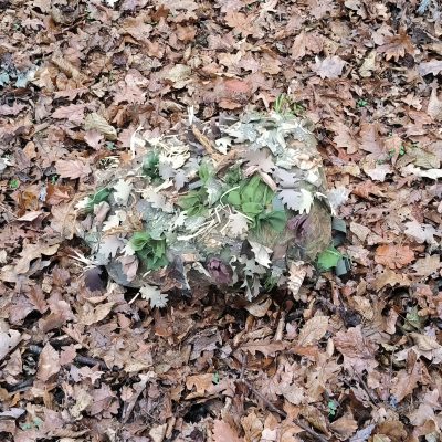 ANAREUS Pack of 3D SilkLeaf Camouflage Leaves, Small (25 Pcs) - Brown OD-A-ANAR91-S asgbox.pl ANAREUS Pack of 3D SilkLeaf Camouflage Leaves, Small (25 Pcs) - Brown OD-A-ANAR91-S asgbox.pl