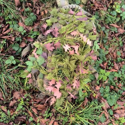 ANAREUS Pack of 3D SilkLeaf Camouflage Leaves, Small (25 Pcs) - Brown OD-A-ANAR91-S asgbox.pl ANAREUS Pack of 3D SilkLeaf Camouflage Leaves, Small (25 Pcs) - Brown OD-A-ANAR91-S asgbox.pl