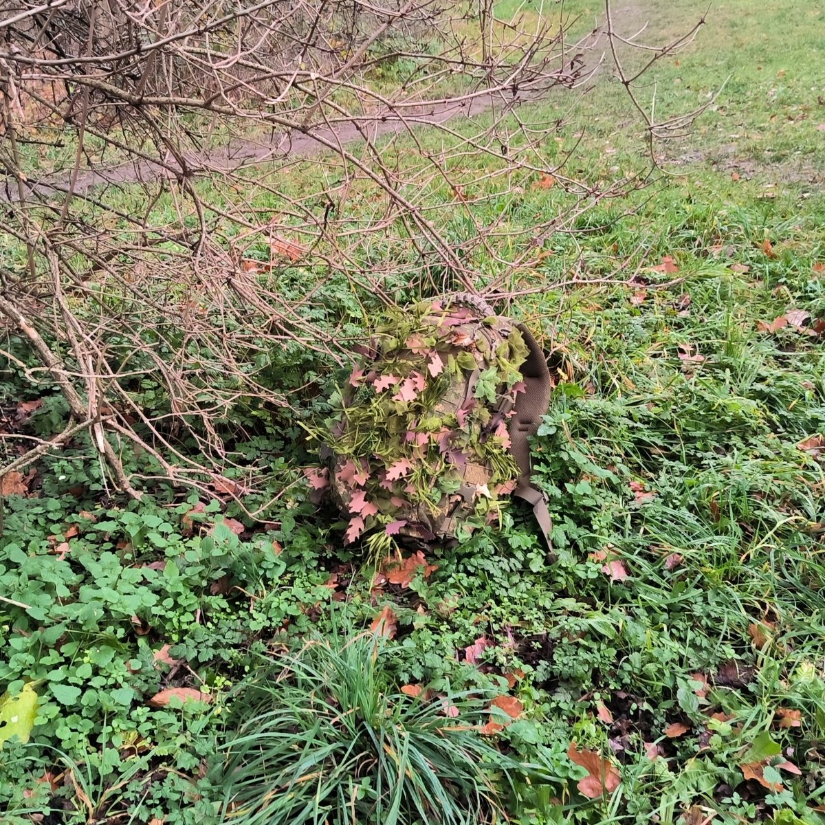 ANAREUS Pack of 3D SilkLeaf Camouflage Leaves, Small (25 Pcs) - Brown OD-A-ANAR91-S asgbox.pl ANAREUS Pack of 3D SilkLeaf Camouflage Leaves, Small (25 Pcs) - Brown - obrazek 9