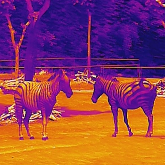 VO OWLSET ARGON ES 1.2x10 Handheld Thermal Imaging Monocular - Black OD-A-VEOT-MC06 asgbox.pl VO OWLSET ARGON ES 1.2x10 Handheld Thermal Imaging Monocular - Black - obrazek 7