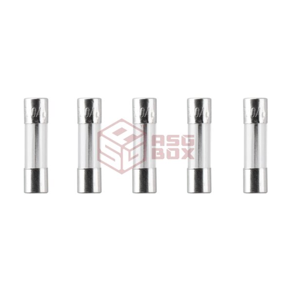 Nimrod Glass Type Fuse 5x20mm 20A 5pcs