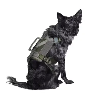 asgbox.pl - Szelki taktyczne dla psa - ranger green