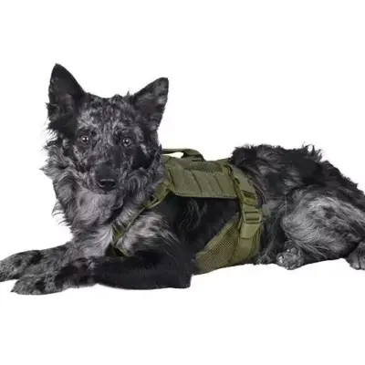 Szelki taktyczne dla psa - oliwkowe OD-G-PRI-18-021091-00 asgbox.pl