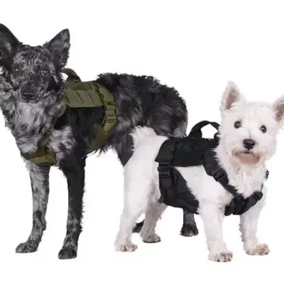 Szelki taktyczne dla psa - tan OD-G-PRI-18-021093-00 asgbox.pl