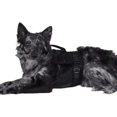Szelki taktyczne dla psa - czarne OD-G-PRI-18-021090-00 asgbox.pl