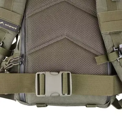 asgbox.pl - Plecak Wisport SilverFox - oliwkowy