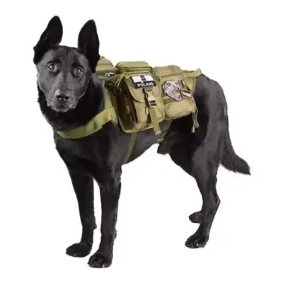 Taktyczna kamizelka dla psa - oliwkowa OD-G-PRI-18-017429-04 asgbox.pl Taktyczna kamizelka dla psa - oliwkowa OD-G-PRI-18-017429-04 asgbox.pl