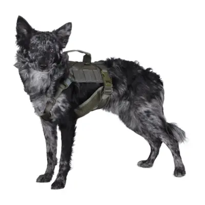 Szelki taktyczne dla psa - ranger green OD-G-PRI-18-021092-00 asgbox.pl