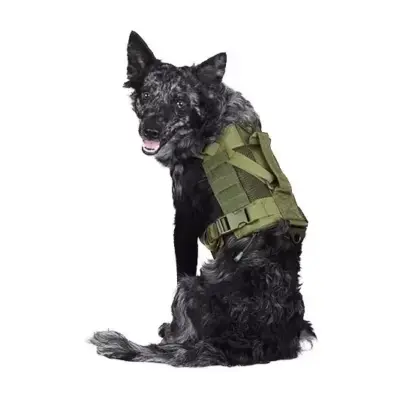 Szelki taktyczne dla psa - oliwkowe OD-G-PRI-18-021091-00 asgbox.pl