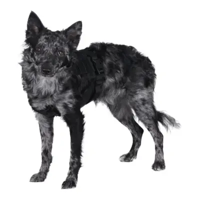 Szelki taktyczne dla psa - czarne OD-G-PRI-18-021090-00 asgbox.pl