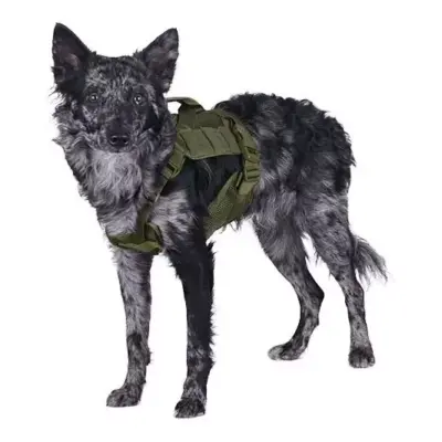 Szelki taktyczne dla psa - oliwkowe OD-G-PRI-18-021091-00 asgbox.pl