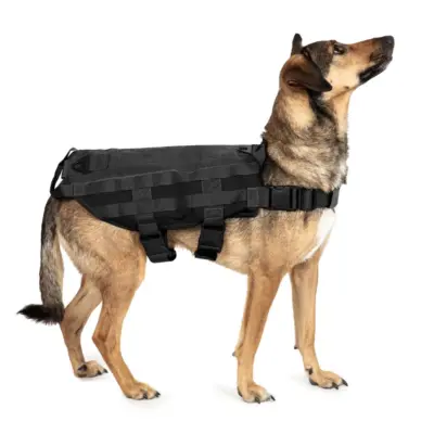 Taktyczna kamizelka dla psa - czarna OD-G-PRI-18-017428-04 asgbox.pl Taktyczna kamizelka dla psa - czarna OD-G-PRI-18-017428-04 asgbox.pl
