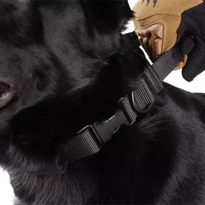 Taktyczna obroża dla psa - czarna OD-G-PRI-34-017450-00 asgbox.pl