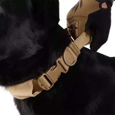 Taktyczna obroża dla psa - tan OD-G-PRI-34-017452-00 asgbox.pl Taktyczna obroża dla psa - tan OD-G-PRI-34-017452-00 asgbox.pl