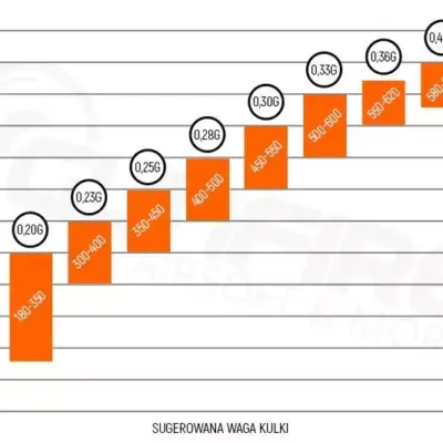 asgbox.pl - Butelka kulek precyzyjnych 0
