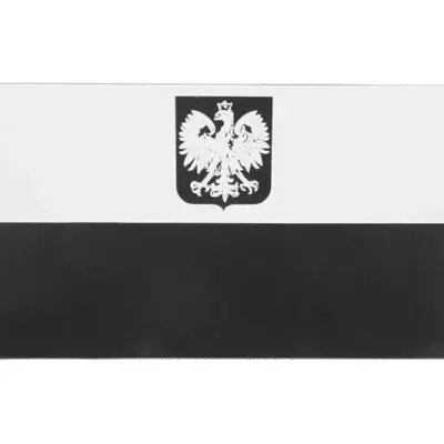 asgbox.pl - Naszywka IR - Flaga Polska A2 GEN2 - WH/BLK