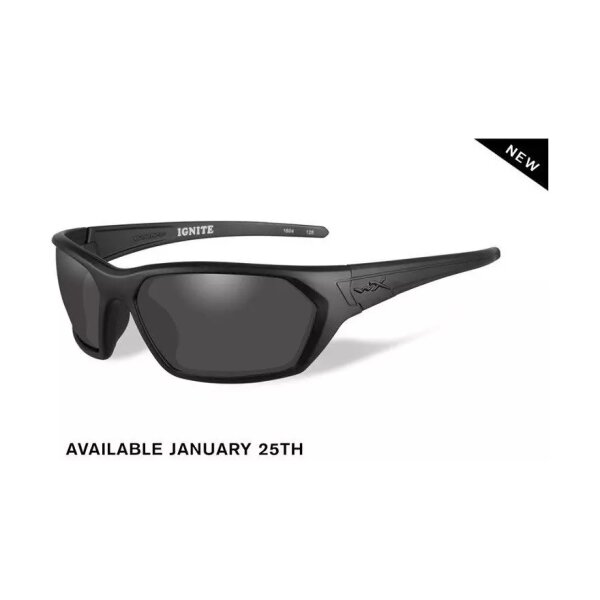 asgbox.pl - Samples ACIGN01 Smoke Grey/Matte Black