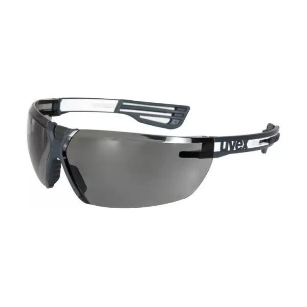 asgbox.pl - Okulary ochronne X-Fit Pro (9199.276)