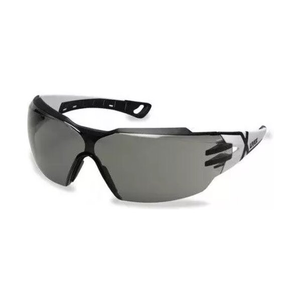 asgbox.pl - Okulary ochronne Pheos CX2 - przyciemniane (9198.237)