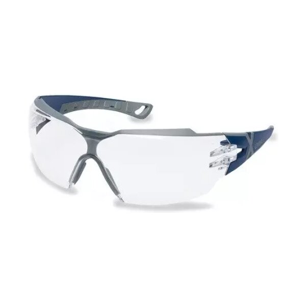 asgbox.pl - Okulary ochronne Pheos CX2 - przezroczyste (9198.257)