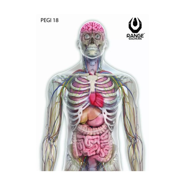 asgbox.pl - Tarcze Strzeleckie RS-Pegi18 - 500 szt.