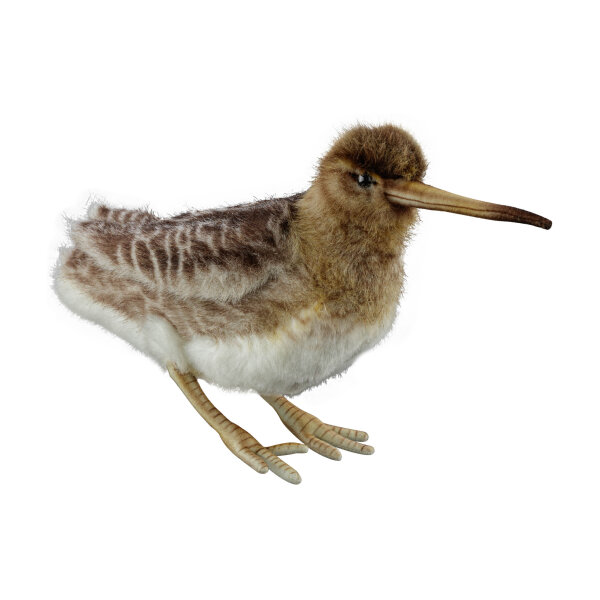 Woodcock plush -