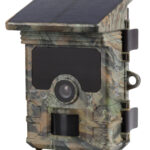 Camera trap PIE1060 Wi-Fi - Photo trap PIE1060