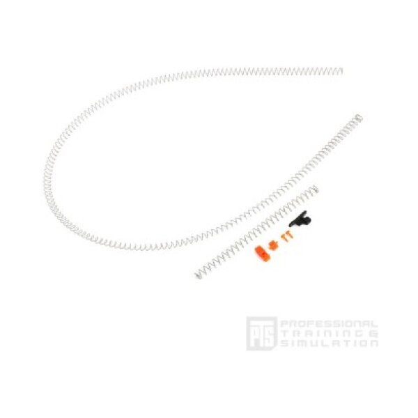 PTS EPM1 spring set replacement