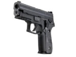 WE SIG F229 (P229) GBB