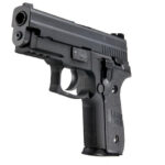 WE SIG F229 (P229) GBB